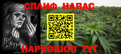 ГАЛЛЮЦИНОГЕННЫЕ ГРИБЫ Пугачёв
