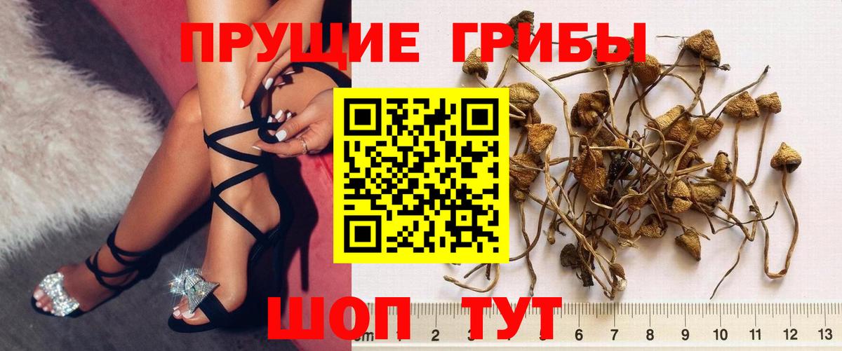 Галлюциногенные грибы мицелий Печора